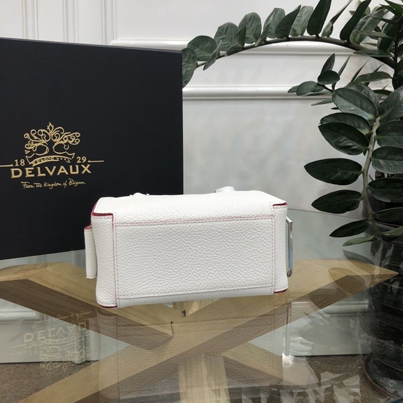 大人気!!新色デルボー コピー Cool Box Mini クールボックスミニ バッグ Dev39715