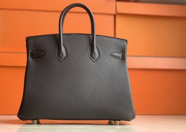 目を惹くカラー エルメス バーキン25 偽物トゴ ゴールド金具 ery15789 - 画像 (2)