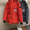 ★日本!!人気！カナダグース＊EXPEDITION＊エクスペディション＊フュージョン コピー Caw45668 - 画像 (3)