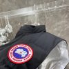 送料込 カナダグース x NBA コピー フリースタイルベスト Cak45069 - 画像 (4)