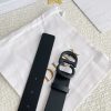 日本即発★ディオール ベルト 偽物 saddle 30mmマットカーフスキン dee18879 - 画像 (6)