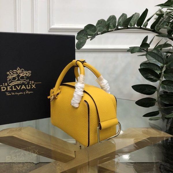 【日本未発売】デルボー 偽物 Cool Box Mini クールボックスミニ バッグ Der55464 - 画像 (2)