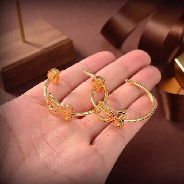 完売必至ロエベ アナグラム ピアス スーパーコピー loi21732 - 画像 (4)