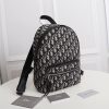 超希少！ディオール OBLIQUE MOTION バックパック偽物 dey29933 - 画像 (2)