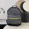 追跡付き 安い バオバオイッセイミヤケ バックパック コピー 2size bag89241 - 画像 (5)