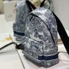 目を惹くカラーディオール TRAVEL スモールバックパック 偽物 M6108UTEU - 画像 (3)