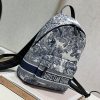 目を惹くカラーディオール TRAVEL スモールバックパック 偽物 M6108UTEU - 画像 (2)