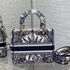 使い勝手良しレディディオール スーパーコピー LADY D-LITE ミディアムバッグ dey26668 - 画像 (2)