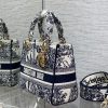 使い勝手良しレディディオール スーパーコピー LADY D-LITE ミディアムバッグ dey26668 - 画像 (3)