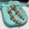 定番 ティファニー ハードウエア Graduated Link ピアス 偽物 Tia20282 - 画像 (3)