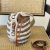 クロエ ビーハイブ バッグ 偽物 ラフィア＆ラバー アナグラム che14355 - 画像 (4)
