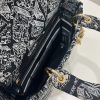 注目★レディディオール 偽物 LADY D-LITE ミディアムバッグ M0565OOMPM993 - 画像 (5)