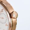 IWC スーパーコピー インターナショナルウォッチカンパニー アニュアル・カレンダー IW503504 - 画像 (6)