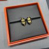 限定希少♪エルメス ミニ・マイヨン ピアス N級品 H100052 - 画像 (9)