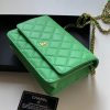 ヨンアさん愛用 シャネル WALLET チェーンウォレット 限定希少！A33814 - 画像 (5)