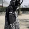 人気急上昇シュプリーム ノースフェイス 偽物 フリースジャケット Shi00363 - 画像 (6)