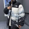 ★日本!!人気！ヌプシ 偽物 シュプリーム ノースフェイス ダウン レザーダウンジャケット Shd08554 - 画像 (7)