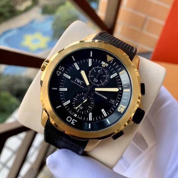 日本未入荷IWC 偽物 アクアタイマー クロノグラフ ガラパゴス アイランド iwd41813 - 画像 (2)