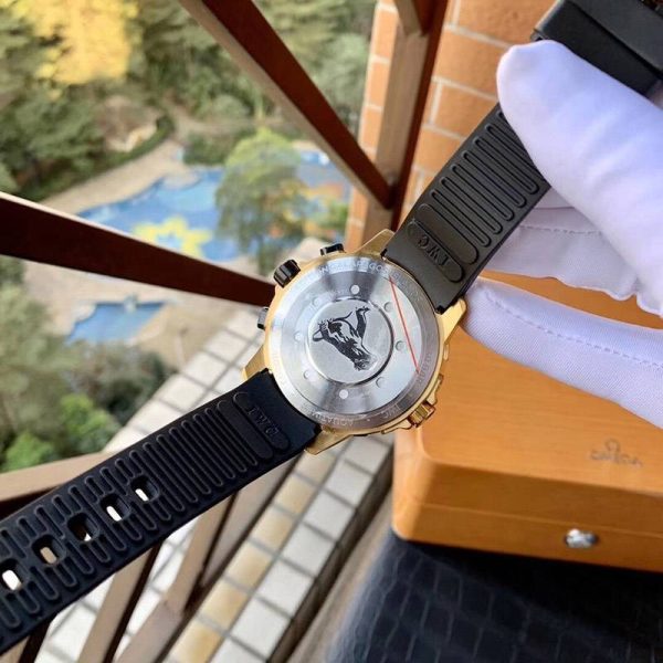 日本未入荷IWC 偽物 アクアタイマー クロノグラフ ガラパゴス アイランド iwd41813 - 画像 (9)
