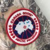 超希少！OVO x カナダグース Terrain Parka ダウンジャケット 偽物 Cak49614 - 画像 (8)
