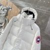 大人気!!新色 カナダグース エクスペディション ダウンジャケット 偽物 Caf21738 - 画像 (2)