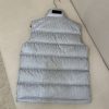 新作入手困難 ディオール オブリーク ダウンベスト 偽物 ded38310 - 画像 (9)