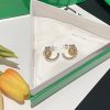 ボッテガヴェネタ ループ イヤリング コピー bok73507 - 画像 (3)