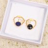 ディオール ROSE DES VENTS ピアス 偽物 dep03587 - 画像 (4)