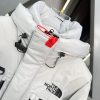 人気No1並行輸入品 ノースフェイス ロングダウンコート ジャケット Nog84113 - 画像 (3)