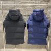 お洒落 【新作2024AW】カナダグース ローレンス パッファー 偽物 Caq26967 - 画像 (2)